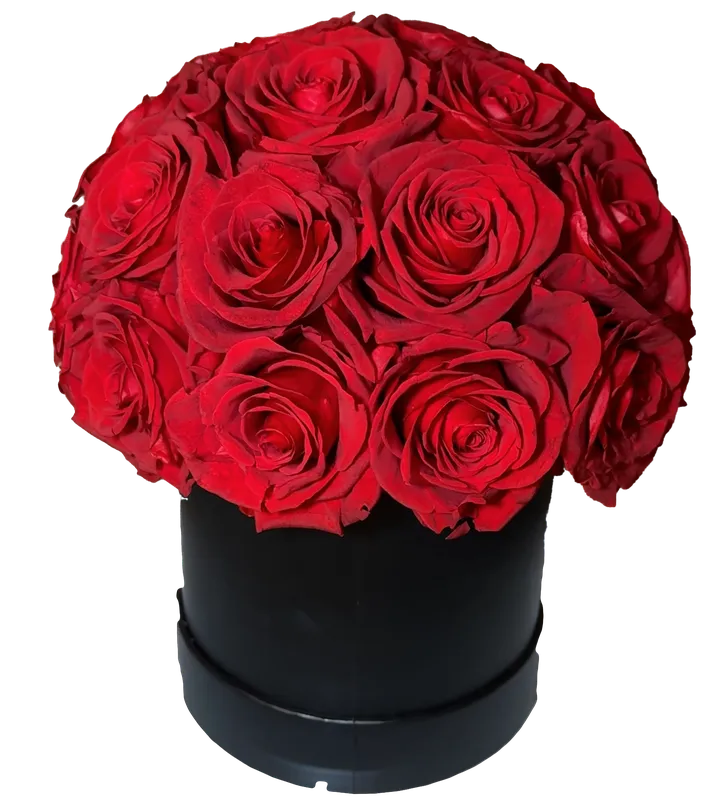 Eterna Rossa: cupola di 24 rose rosse stabilizzate in cappelliera nera