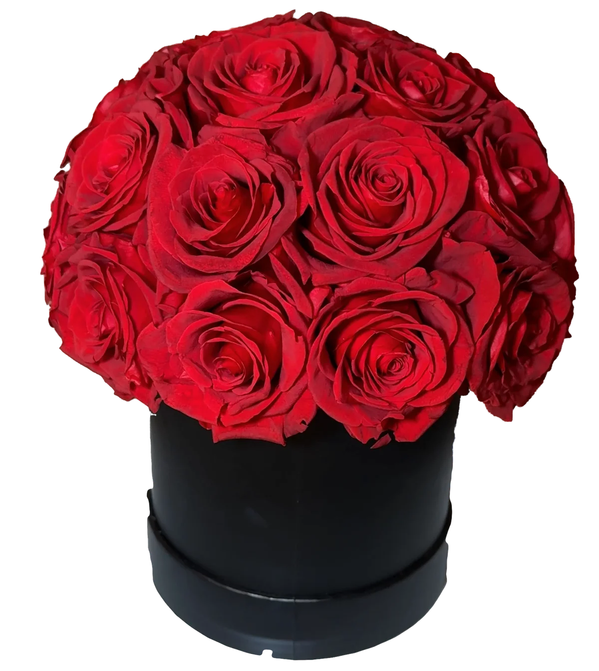 Eterna Rossa, 24 rose rosse stabilizzate